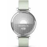 Garmin Lily® 2 Classic Silver with Sage Gray Nylon Band