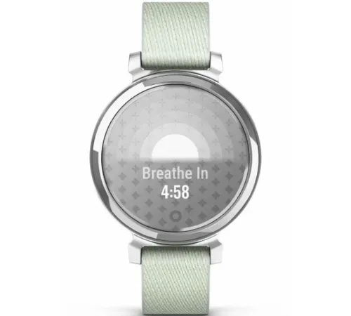 Garmin Lily® 2 Classic Silver with Sage Gray Nylon Band
