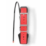 Garmin TT™ 15X Dog Collar Dog Tracking and Training Collar