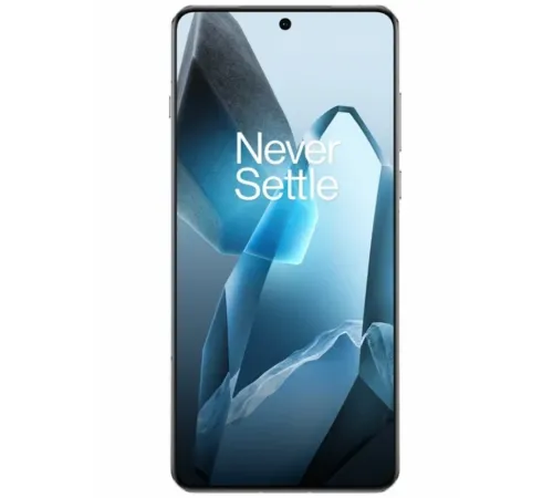 OnePlus 13 24GB/1TB китайская версия, Синий