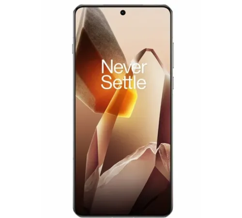 OnePlus 13 12GB/256GB китайская версия, Белый