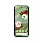Google Pixel 9 12/256 GB Зелёный