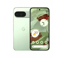 Google Pixel 9 12/256 GB Зелёный