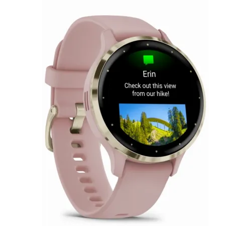 Garmin Venu 3S Soft Gold Stainless Steel Bezel with Dust Rose Case and Silicone Band