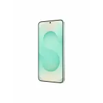 Samsung Galaxy S25 Plus 12/256 GB Мятный (Mint)