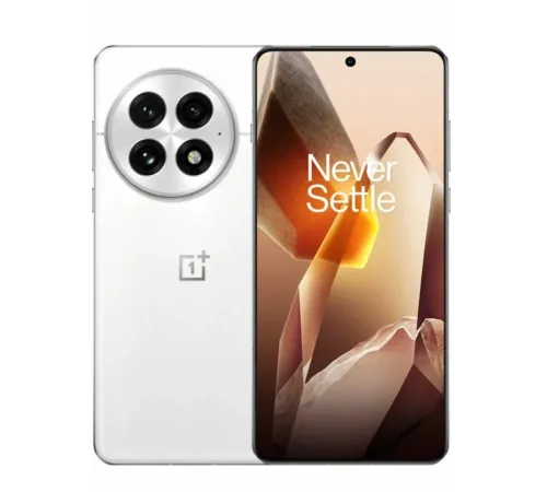 OnePlus 13 12GB/256GB китайская версия, Белый