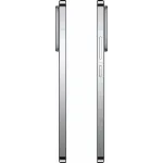 Xiaomi 15 12GB/256GB международная версия (Cеребристый)